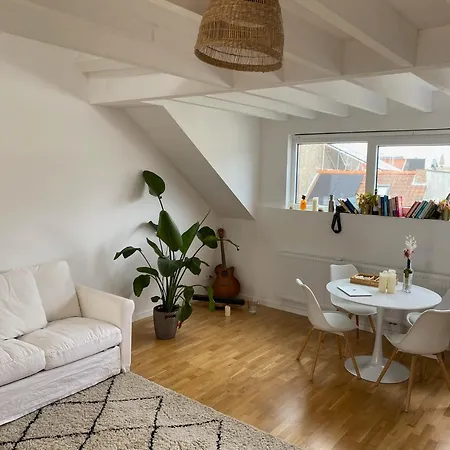 Quiet Rooftop Studio With Sunny Terrace *